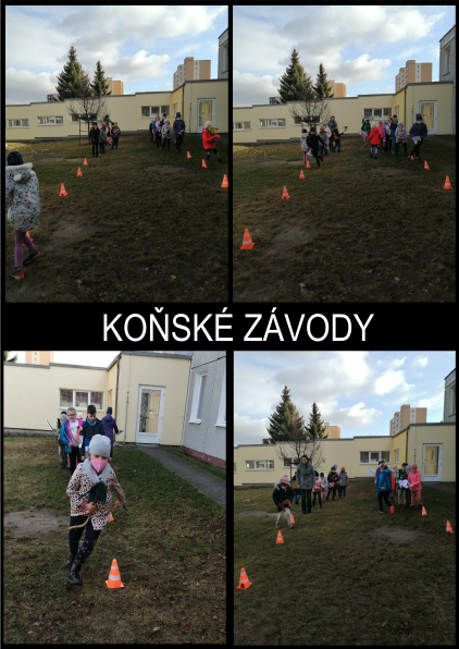 koňské závody